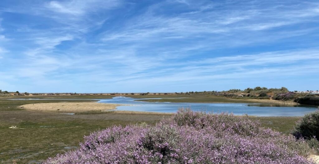 Escaping the Hustle & Bustle of City Life in the Algarve