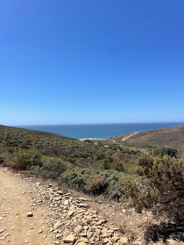 Algarve's Winter Charm OUR 10 COOL STUFF TO DO IN DECEMBER AND JANUARY IN FARO AND OLHAO