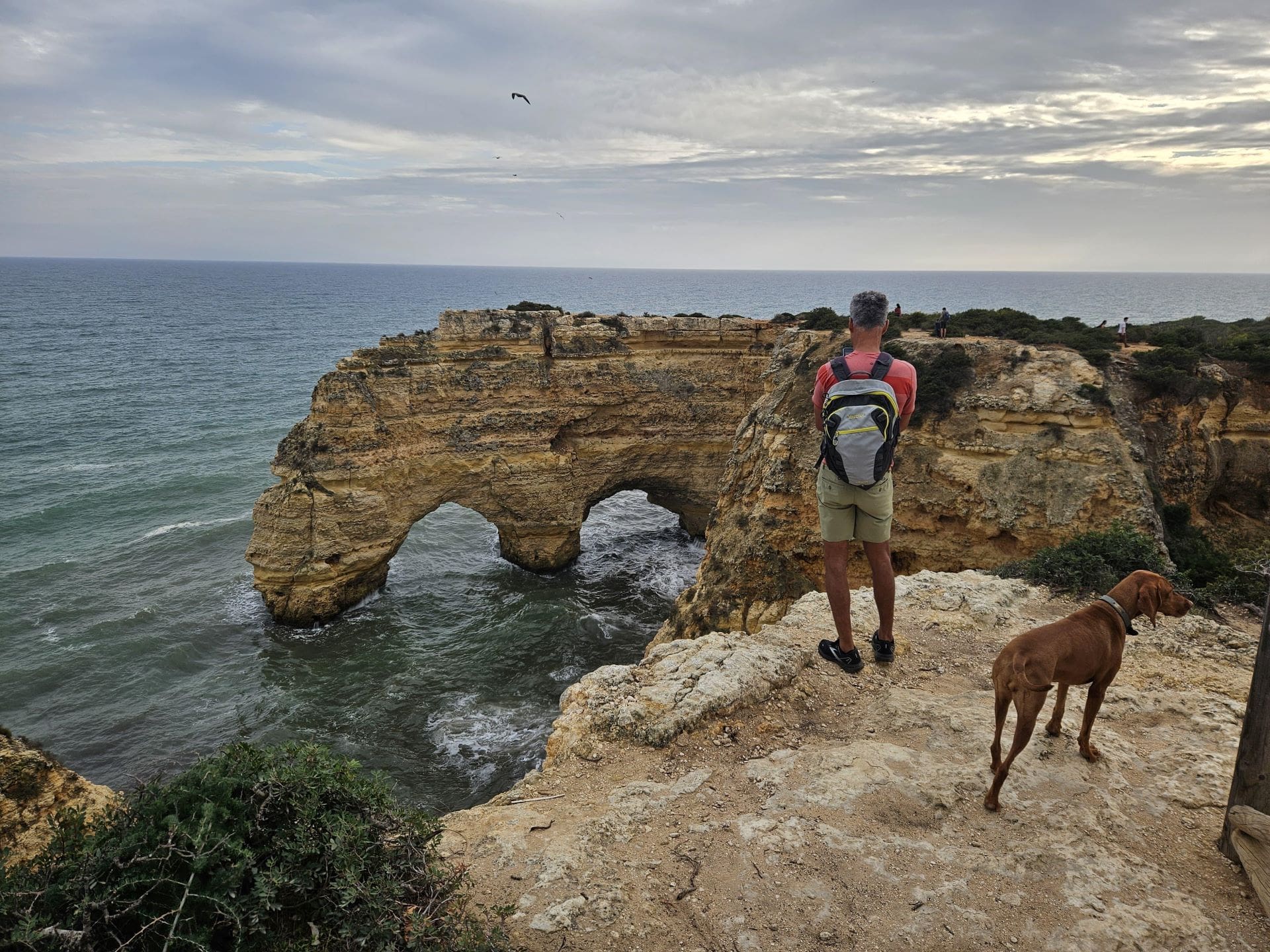 Algarve coastline viewed from the cliffs