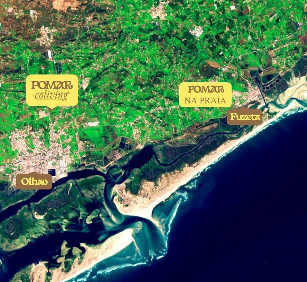 View from POMAR na praia over the Ria Formosa lagoon, Fuseta