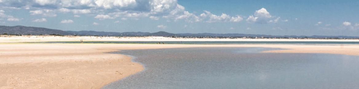 Captura de ecrã 2024-07-04 161853